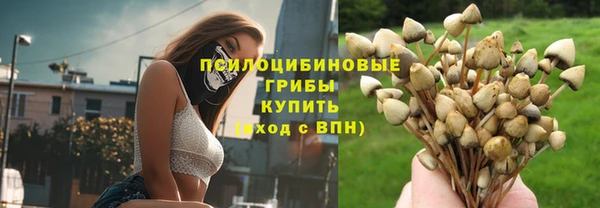 СК Аркадак