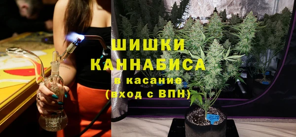 винт Нягань