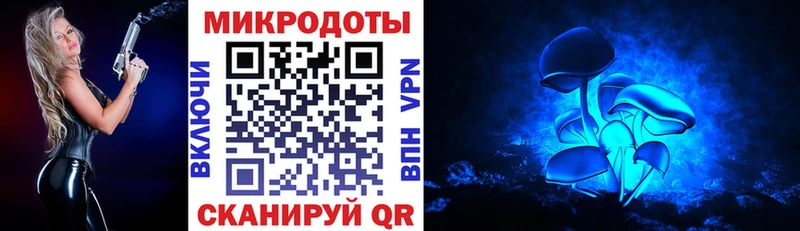 купить  сайты  Суджа  Псилоцибиновые грибы Cubensis 