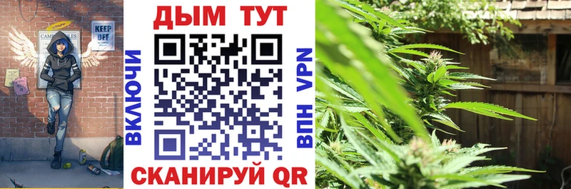 Каннабис SATIVA & INDICA  Суджа 